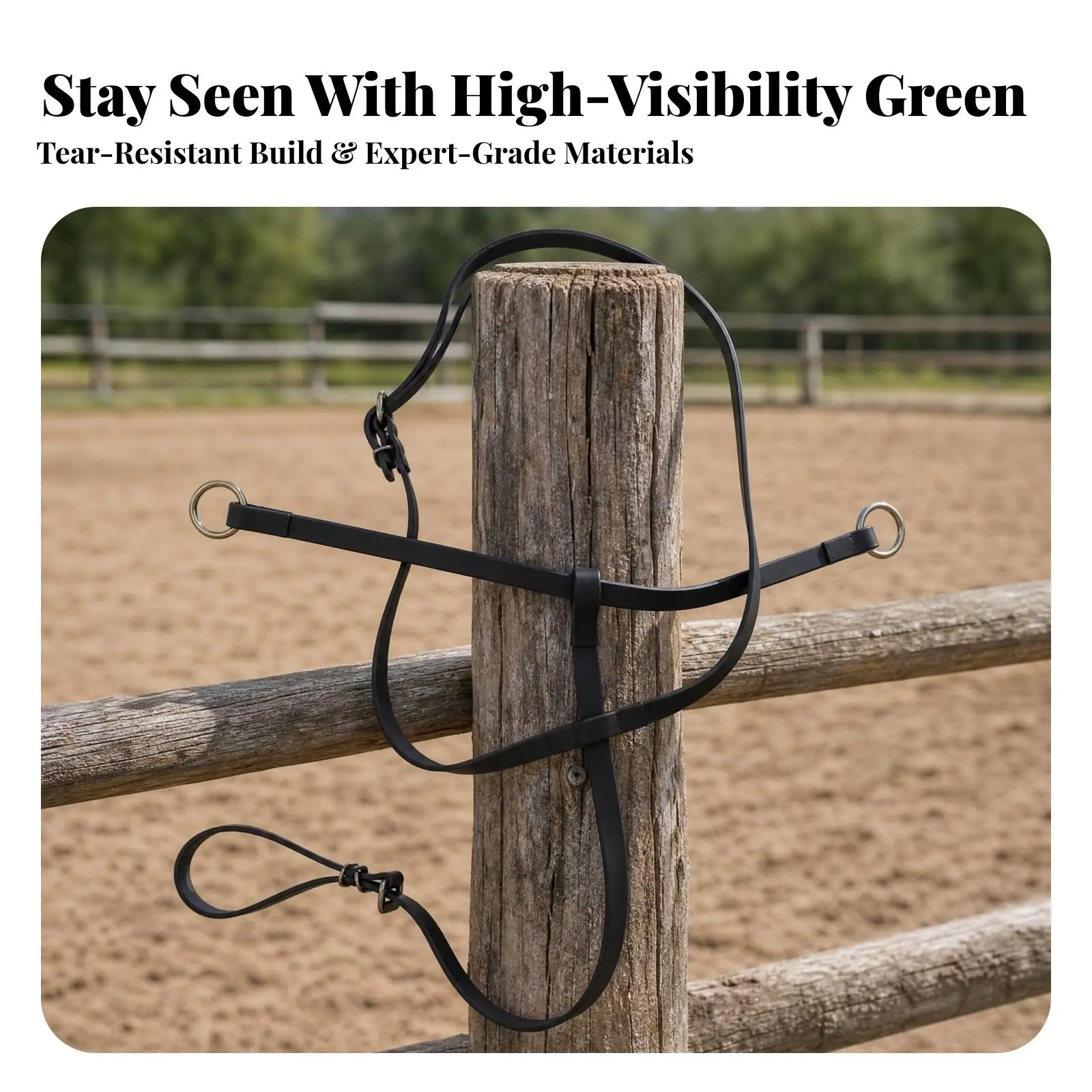 Horse Tack Head Setter Strap with Metal Rings for Proper Frame Building in Daily Barn Exercises