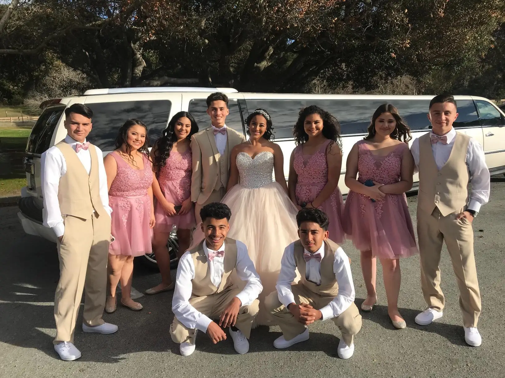 Vestidos de Fiesta Rosa cortos 2019 elegante línea A doble cuello en V sin mangas apliques de encaje vestido de graduación vestidos de gala