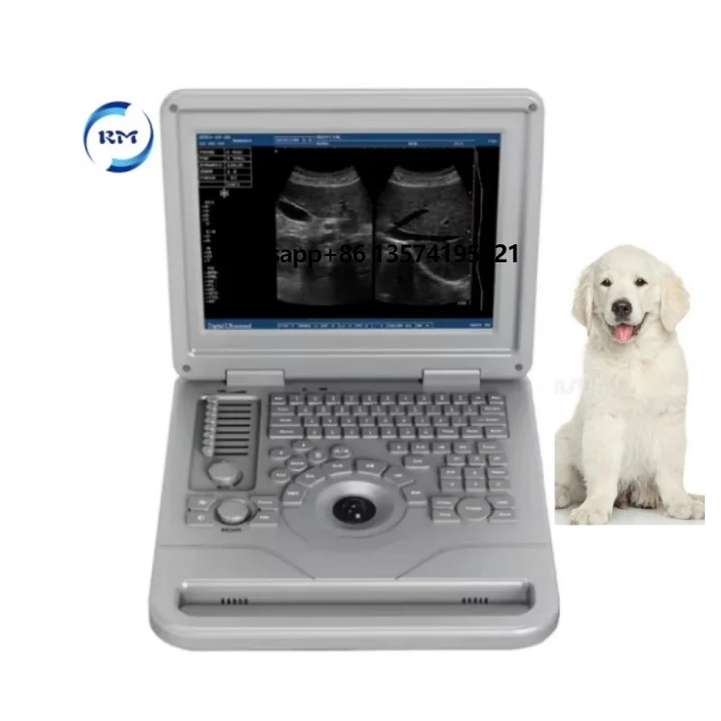 

Medical 12 Inches High Quality Laptop Ultrasonic Full Digital Ultrasound Machine for Veterinary