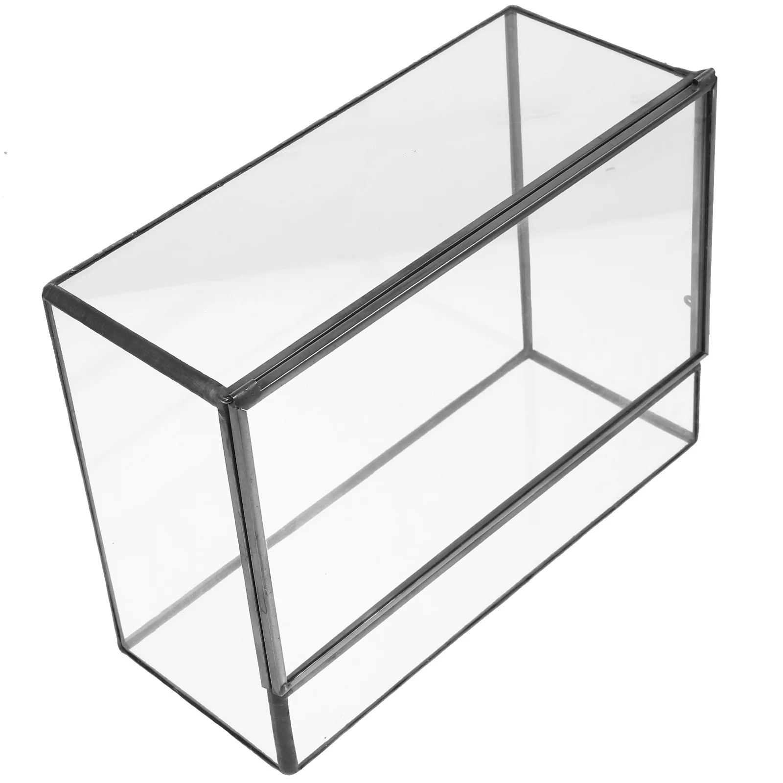 

Micro Landscape Ecological Box Plant Terrarium Tin Desktop Holder Moss Terrarium Container Micro Plant Holder