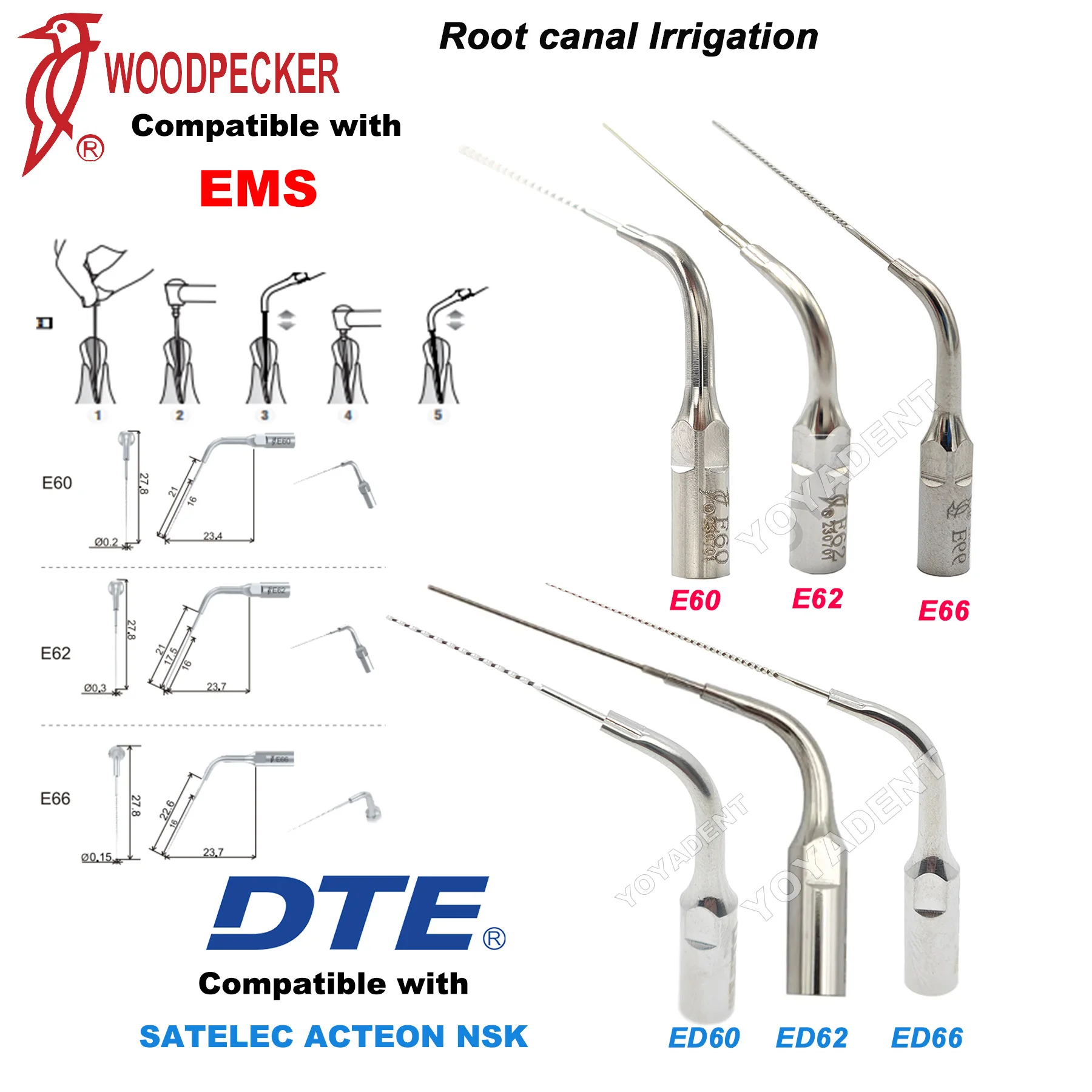 Woodpecker Dte Dent… - image
