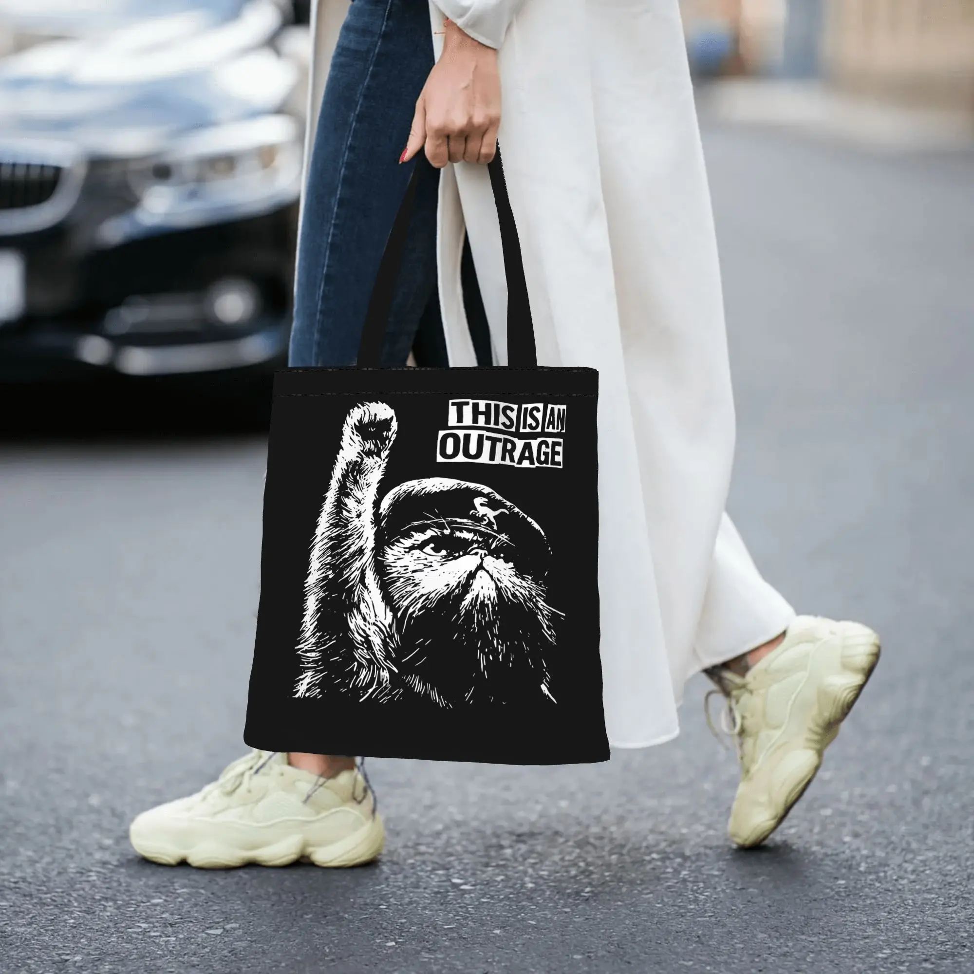 This Is An Outrage Cat Carl Dungeon Crawler Carl Lover canvas tote bag,  casual style for daily shopping