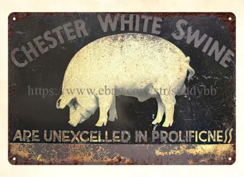 1 pcs,wall art Chester White Swine livestock pigs animals pork farm metal tin sign