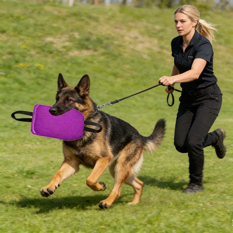 

Dog Training Bite Bag Outdoor Dog Interactive Teeth Grinding Tug of War Play Large Dog Throwing Training Toy