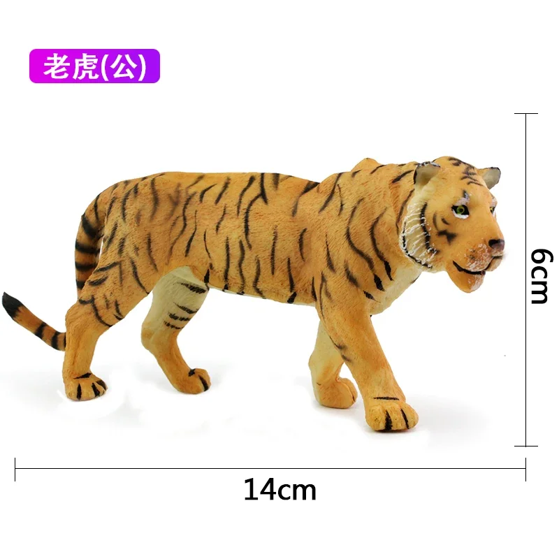 Figura de acción de antílope de plástico sólido para niños, modelo de Animal salvaje, Tigre, antílope, Panthera, Tigris, Ssp.altaica, Cabra, adornos cognitivos