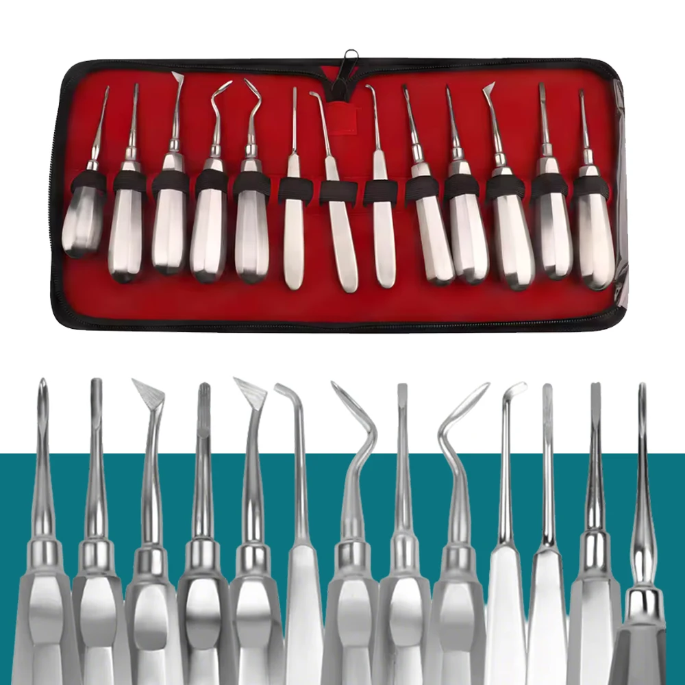 

13 Pcs Dental Luxating Elevator Kit with Curved Root Lift for Minimally Invasive Tooth Extraction Surgical Tool Set
