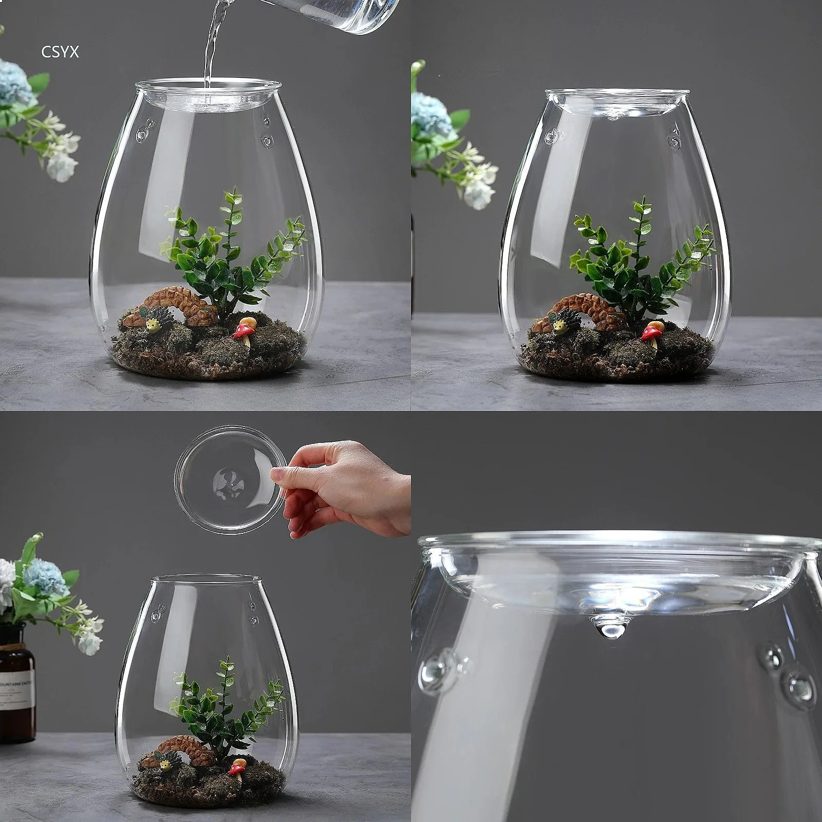 Vase, Micro Landscape Glass Bottle Cap Fresh Green Succulent Moss Bottle Glass Vase Bonsai Home Desktop Decoration