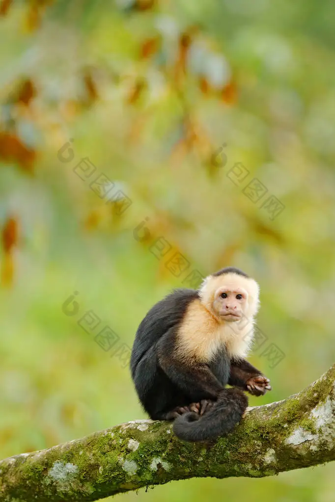 

RC Height Ruler Tool 20-25mm Ruler 10mm Chassis Droop Blocks With Magnetism Detachable Measuring Wheel for 1/10 RC Vehicle