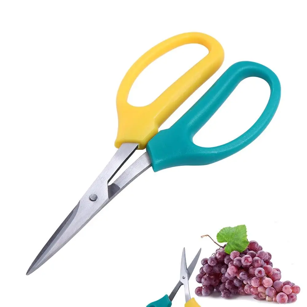 

Professional Labor Saving Pruning Shears Pruners Sharp Garden Scissors Rare Two-color Grape Scissors Rare