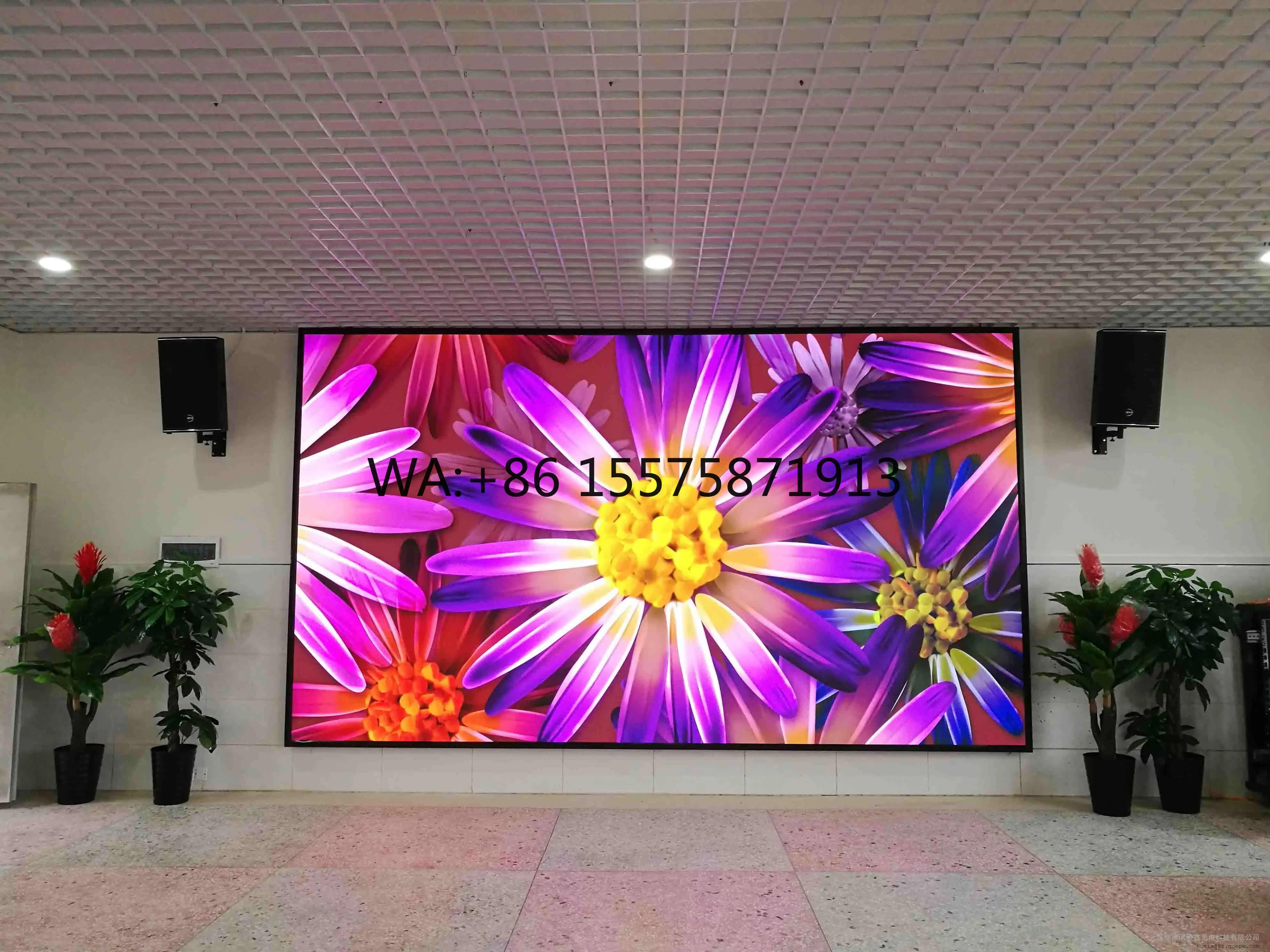 Indoor LED Display Screen P2.5 HDR10 500-1000cd 4K Customizable Size Advertising Background with Adobe RGB 98% 3-Year Warranty