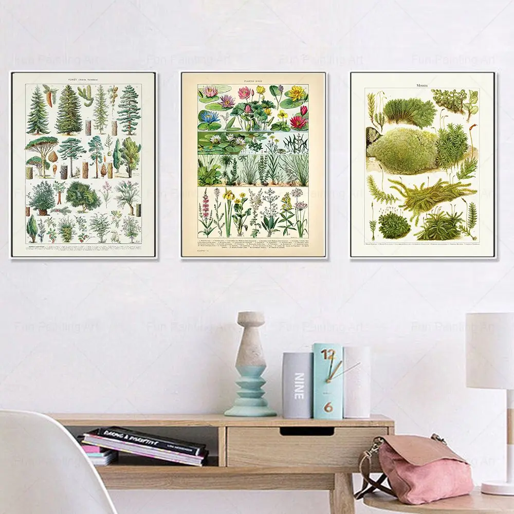 Antique Tree Plants Moss Wall Art Natural Science Poster Botanical Print Canvas Painting Wall Picture for Living Room Home Decor