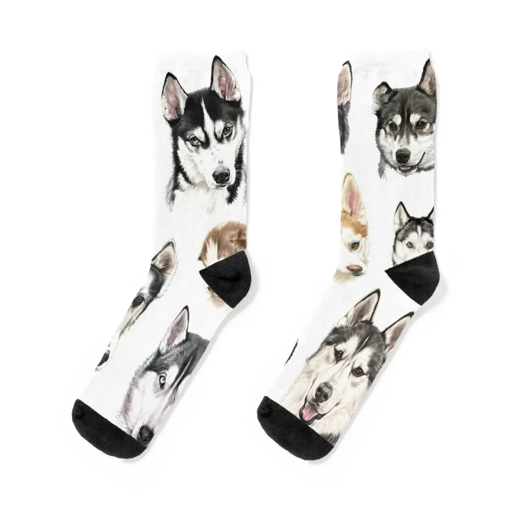 Husky collage Socks basketball Wholesale Women's Socks Men's