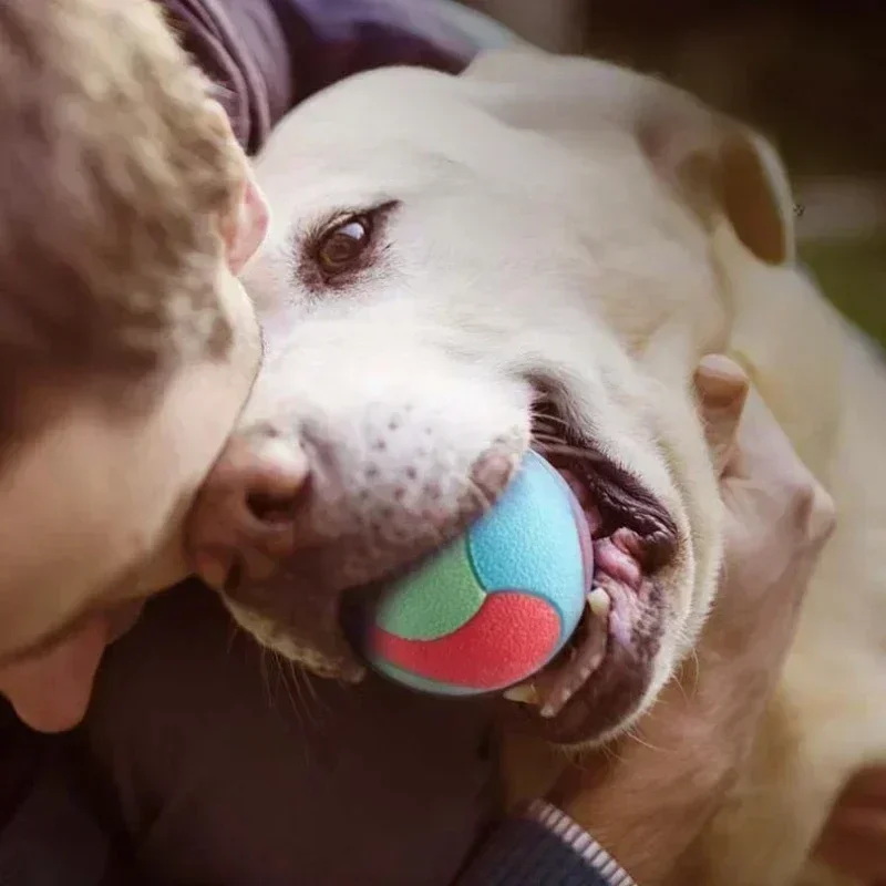 Thumbnail 2 - #8 Top Dog Fetch Toys Picks for Every Budget
