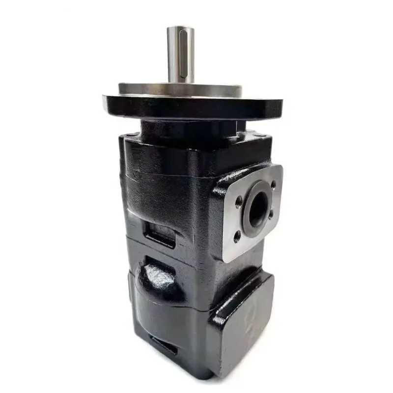 Hydraulic Main Pump Assembly