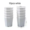 10pcs
