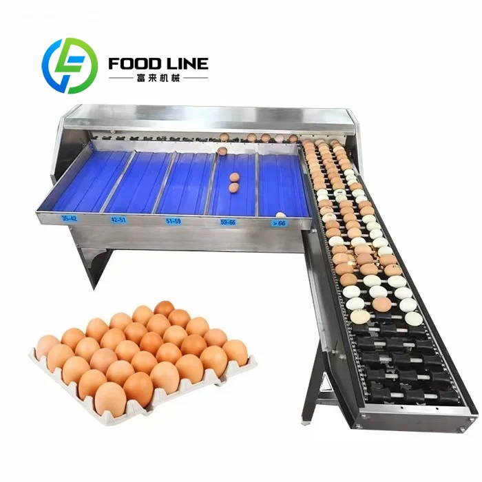 Automatic Egg Grader Soft Plastic Rollers Functions As Egg Sorting Machine Preventing Hard Friction Scratches On Delicate Egg