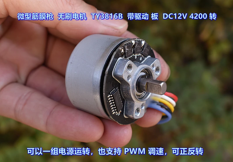 مسدس وتر غشائي محرك بدون فرشاة TY3816B Micro DC12V يدعم التحكم في سرعة PWM للدوران الأمامي والخلفي #2