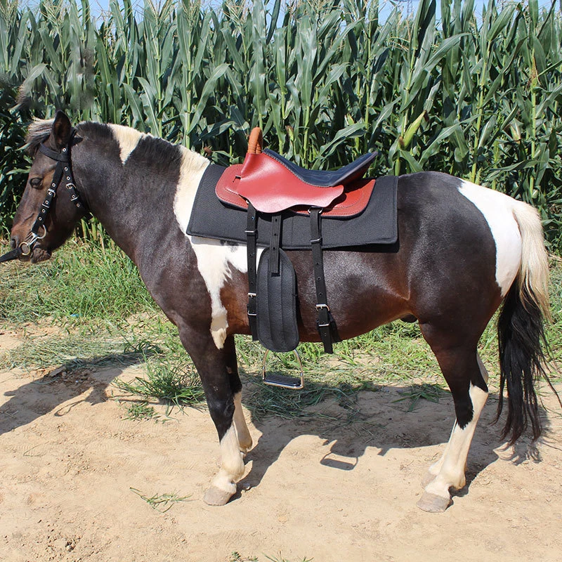 Custom Used Race Western Jump Australian Horse Saddle Pad, Personalised Leather, Wholesale