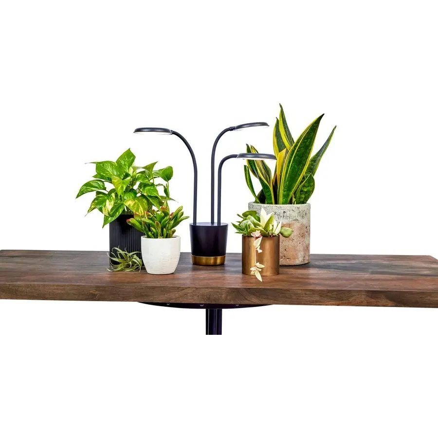 

Trio Grow Light for Indoor Plants, Grow Live Plants Anywhere in The Home, Adjustable Light Modes, Black