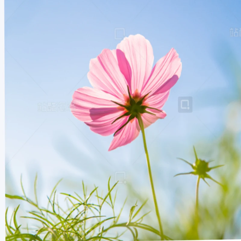 Czujnik przepływu optycznego Holybro