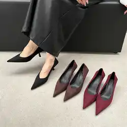 Bailamos 2024 Autumn Pointed Toe Women Sexy Shallow Slip On Pumps Shoes Fashion Thin High Heel Ladies Elegant Dress Shoes Mujer