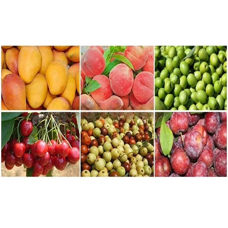 كسارة ضغط الزيتون الصناعية آلة طين الزيتون آلة إزالة قلب الزيتون حفرة الأساسية