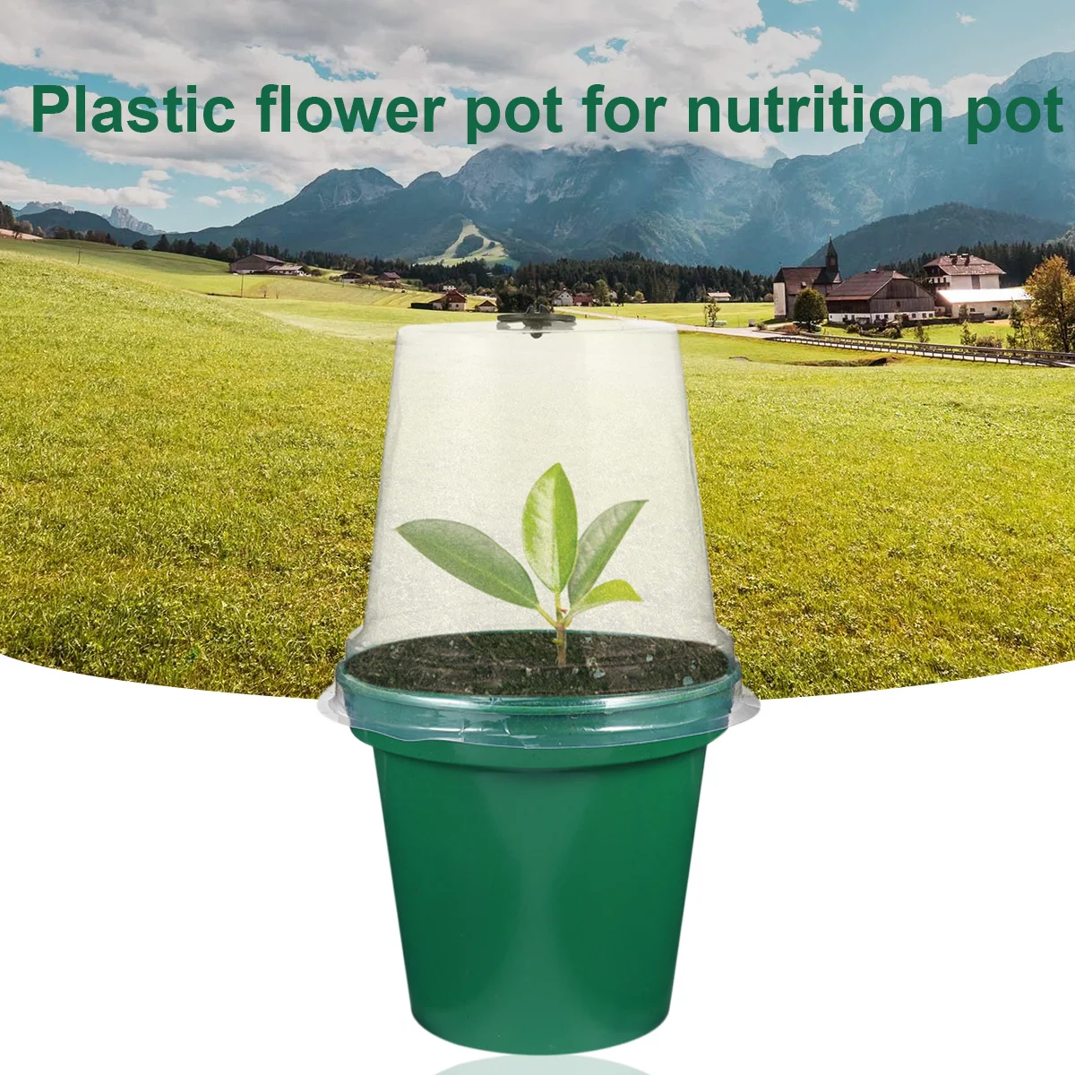 

flower pot plastic plant pot flower pots for home plant container plants basin