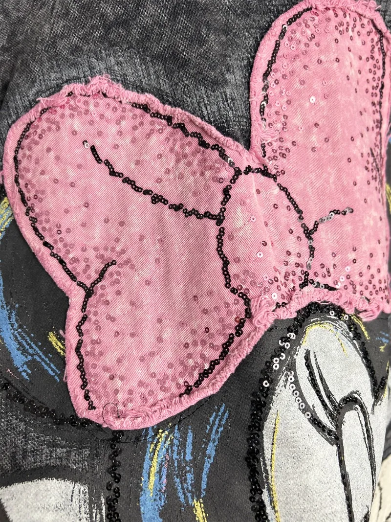 Heavy Embroidery Cartoon Age-Reducing Loose Pullover Sweatshirt Long Sleeves Coat Women's 2025 Autumn Winter New O-neck Hoodies