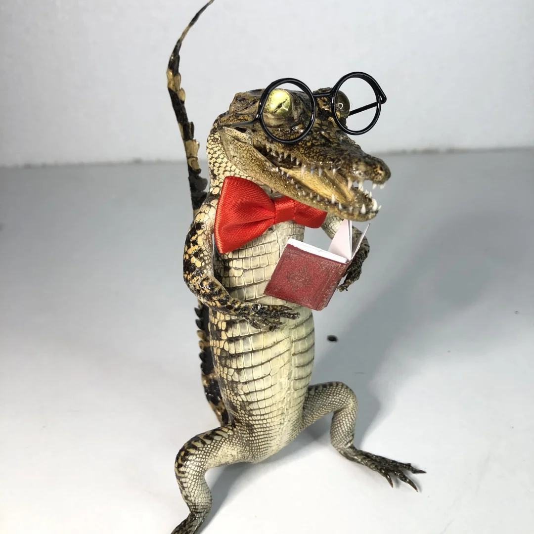 2267 Novelty Reading Pose Hand Finished Craft Ornament Wholesale Bulk Order Cute Stylish Desktop Art Display Collectible Themed