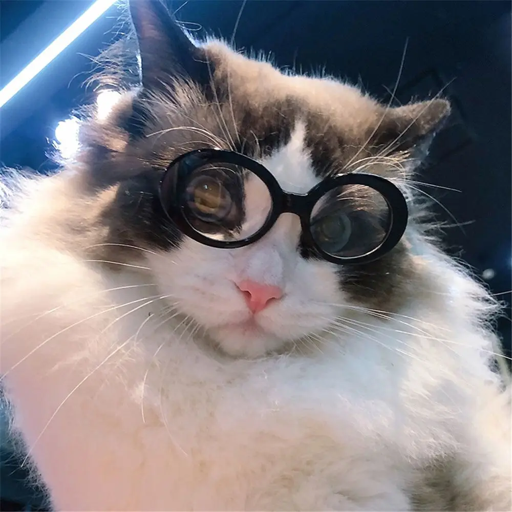 Fashioning Cat Glasses Round Frames Glasses Multicolor Photograph Props Pet Accessories Doll Accessories Cool