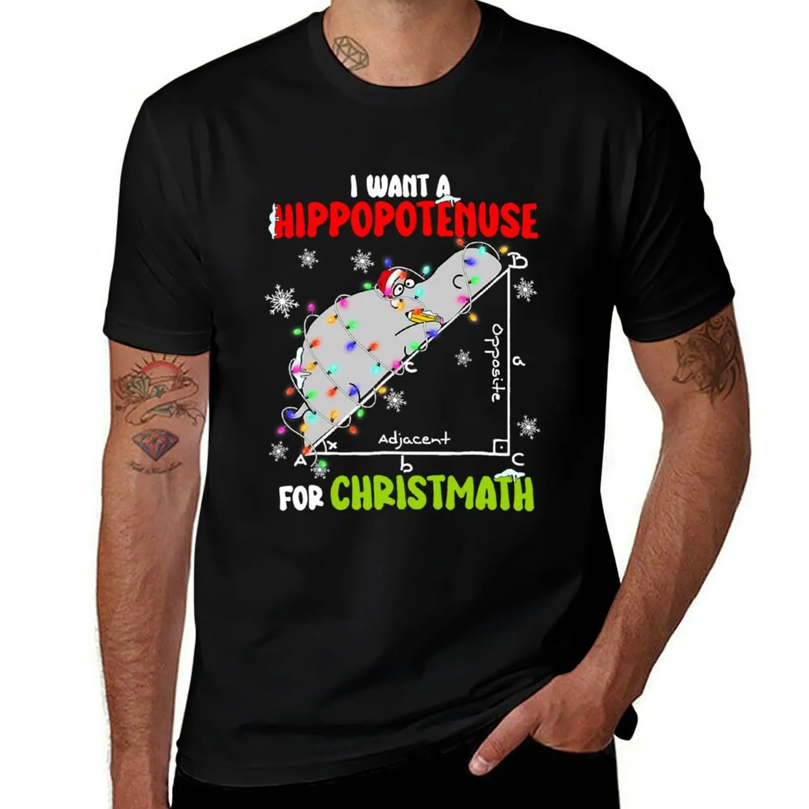 I Want A Hippopotamus For Christmas, Xmas Hippo Math Gift For Teacher T-Shirt sweat mens t shirts top quality