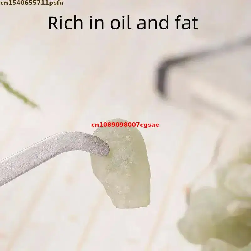 High Quality Natural Oman Green Hojari Frankincense Resin | Aromatic for Meditation Incense Burning Skin Care