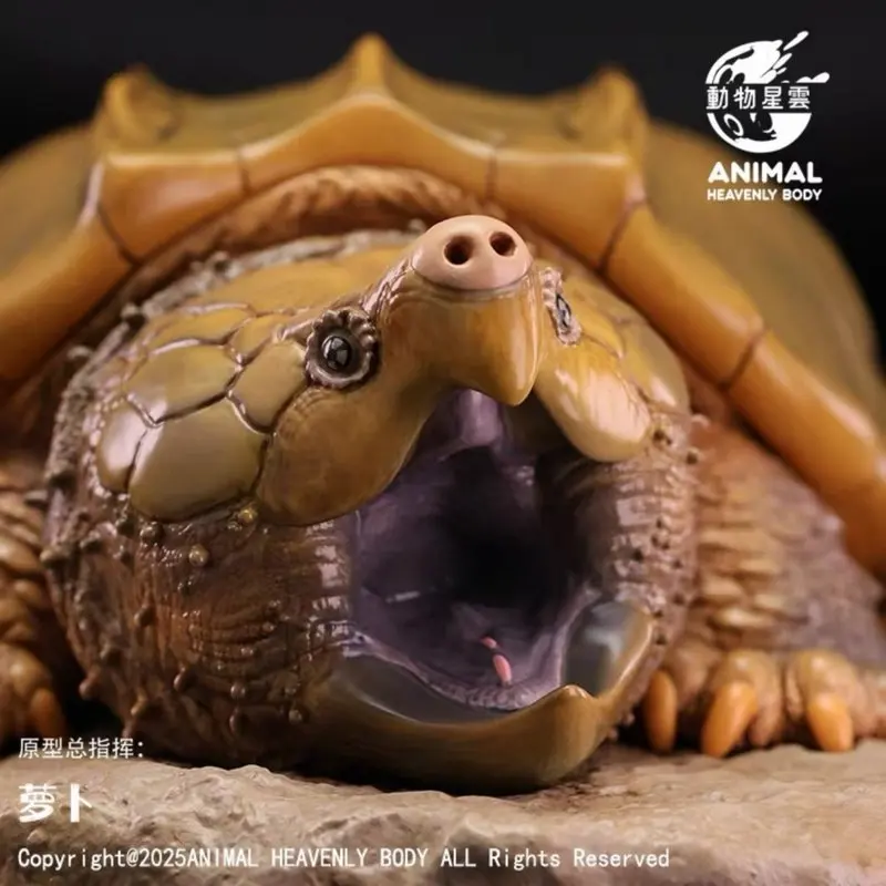 ANIMAL HEAVENLY BODY - Figura Realista de Cocodrilo y Tortuga, Modelo de Escena, Serie de Adornos, 1.ª Estatua de Animal, Regalo Festivo