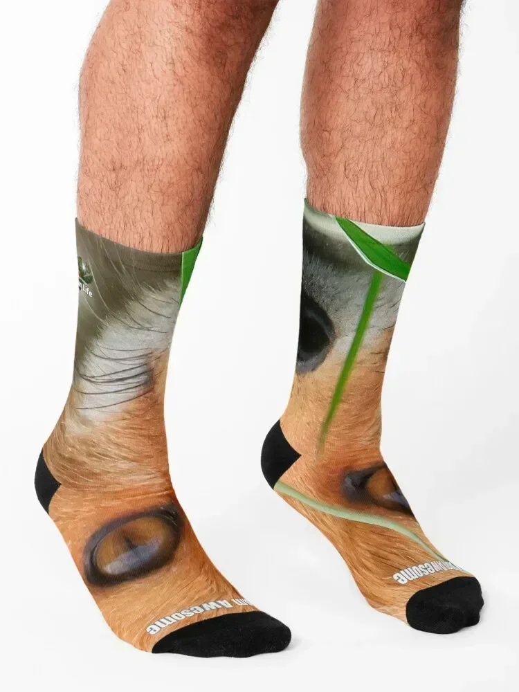 Affirmation Socks japanese fashion bright garter kids designer brand Men Socks Women's