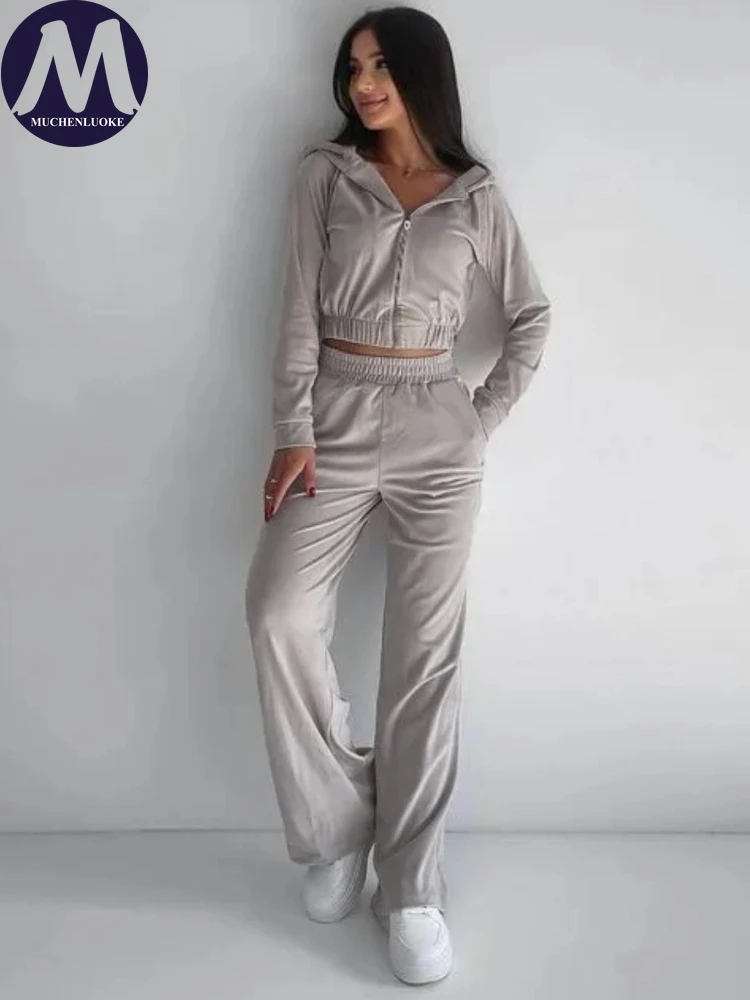 

2 Pieces Set for Woman Spring Autumn New Elegant Hooded Long Sleeve Short Top Suits Fashionable Casual Loose Wide Leg Pants Sets