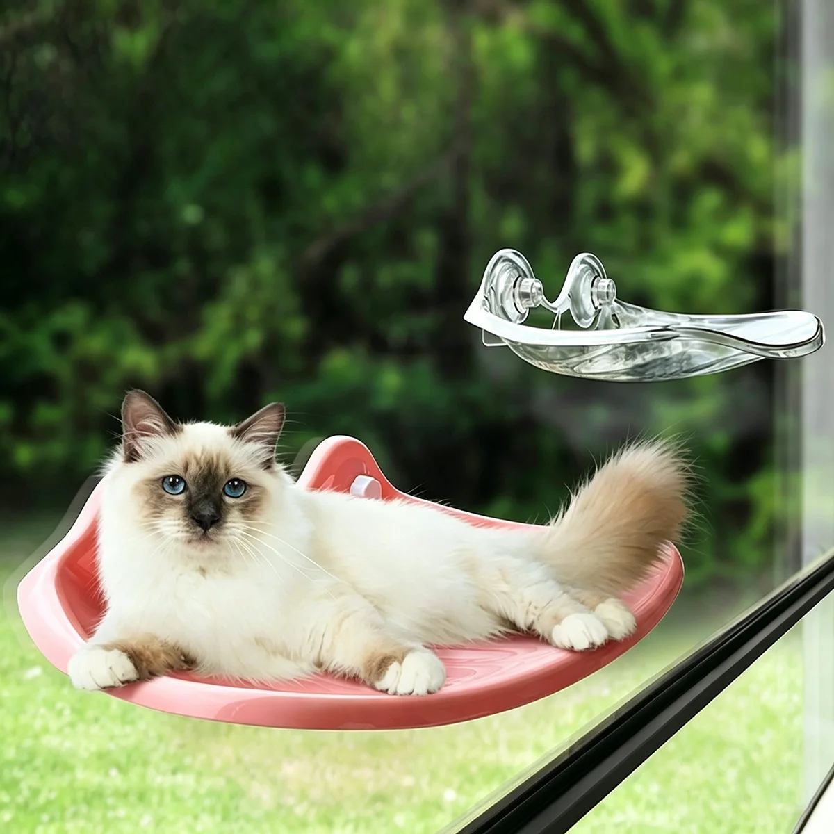 new-pet-cat-suspended-cat-nest-curved-shell-cordless-cat-hammock-weight-bearing-25-pounds-hanging-window-cat-bed-cat-accessories