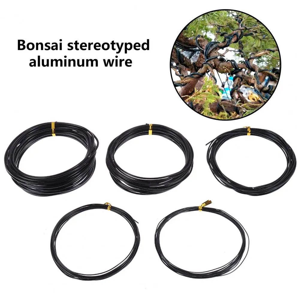 1 Roll 5m Bonsai Wire Bendable Reusable Rustproof Flexible Storage Plant Shape 6 Sizes Bonsai Branch Training Black Wire Balcony