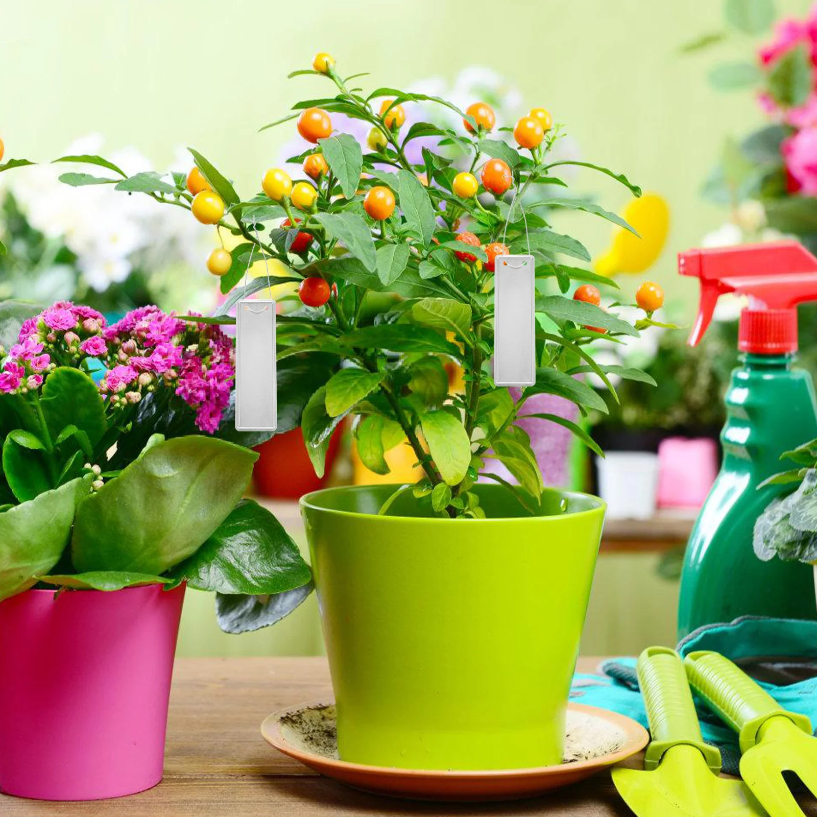 

50Pcs Garden Plant Labels Aluminum Metal Tags for Tree Flower Pot Markers Nursery Greenhouse Landscaping Aluminum Plant Tags