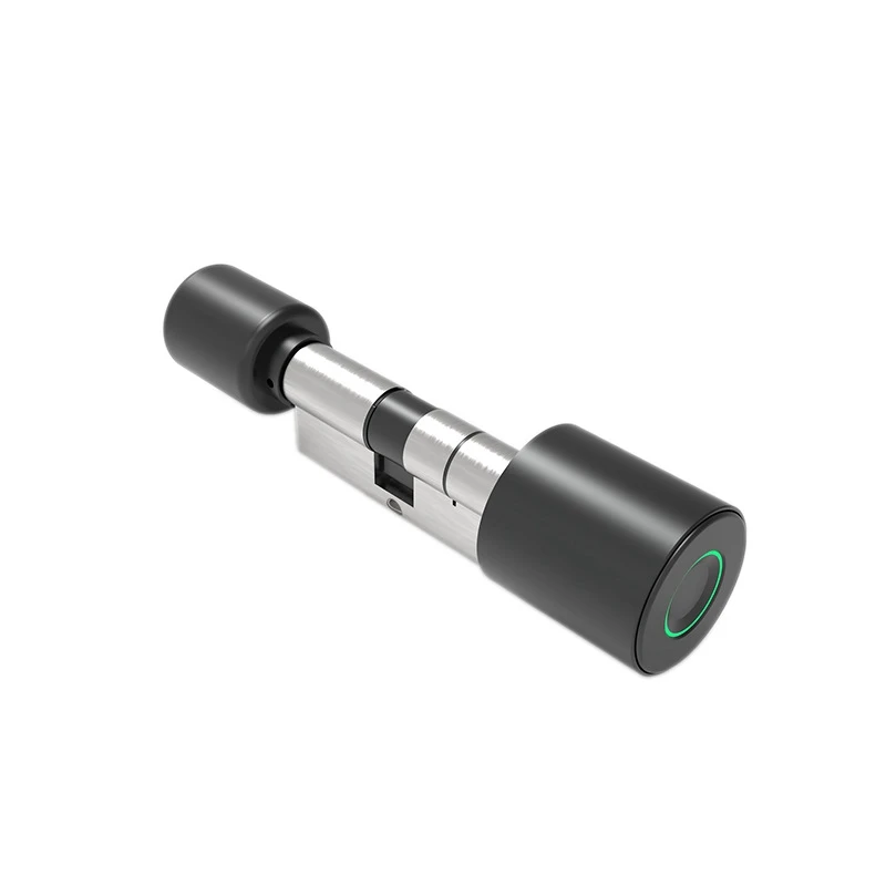 Fechadura com impressão digital para casa, cilindro remoto, bluetooth, fechadura antifurto, porta de madeira, fechadura esférica, durável, preta