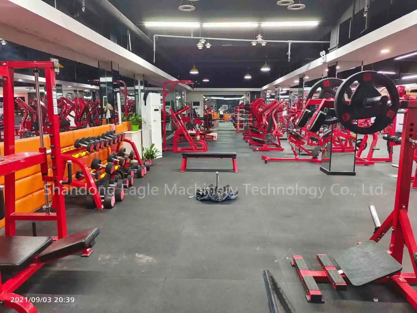 YG -4081 High Quality Steel Standing Calf Raise Machine Gym Fitness Equipment for Sale