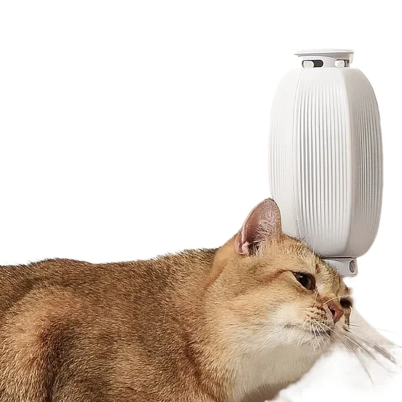 

Smart scratching cat toy