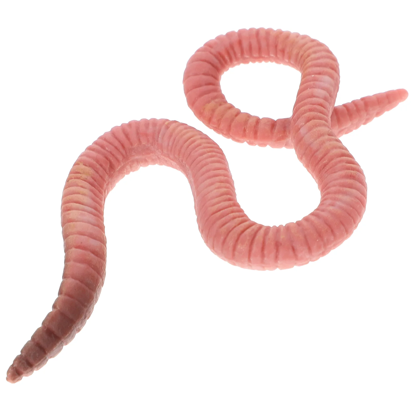 

Earthworm Model Toy Artificial Ornament Earthworms Trick Simulation Number Child