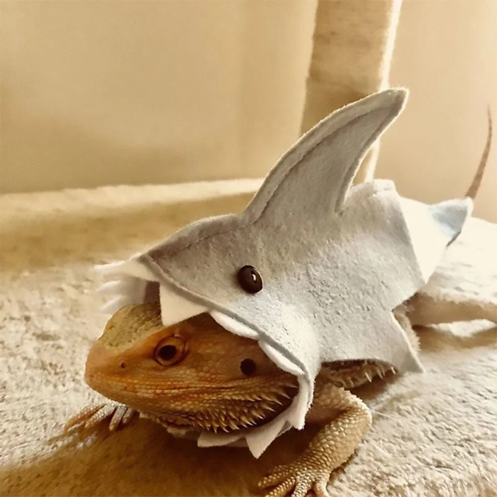 Lizard Reptile Shark Costume in One Package Handmade Felt Bearded Dragon Harness for Chameleon Gecko Iguana Amphibians