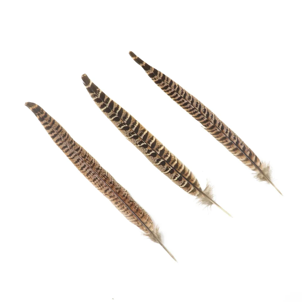10 قطعة 25-30 سنتيمتر الدجاجة الطبيعية الدراج الذيل الريش جميلة جميلة أعمدة Diy بها بنفسك غطاء الرأس المهرجانات مجوهرات إبداعية الحرف اليدوية