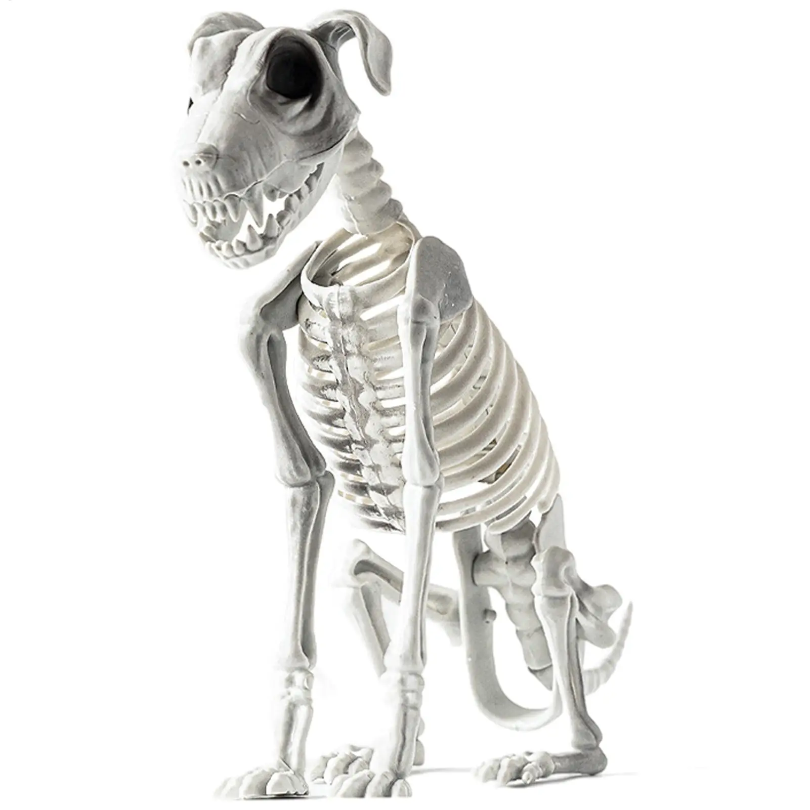 Hunde-Skelett-Statue, Halloween-Hundeknochen, Totenkopf, gruseliger sitzender Hund, Skelett-Statue, gruselige Skelett-Tiere, Dekor für die Versammlung zu Hause