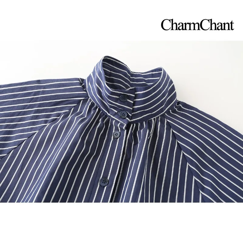 CHARMCHANT Women's Stand Collar Shirt Blouse Stripe Drawstring Waist Raglan Long Sleeve Button Down Top Daily Wear Fall 2026