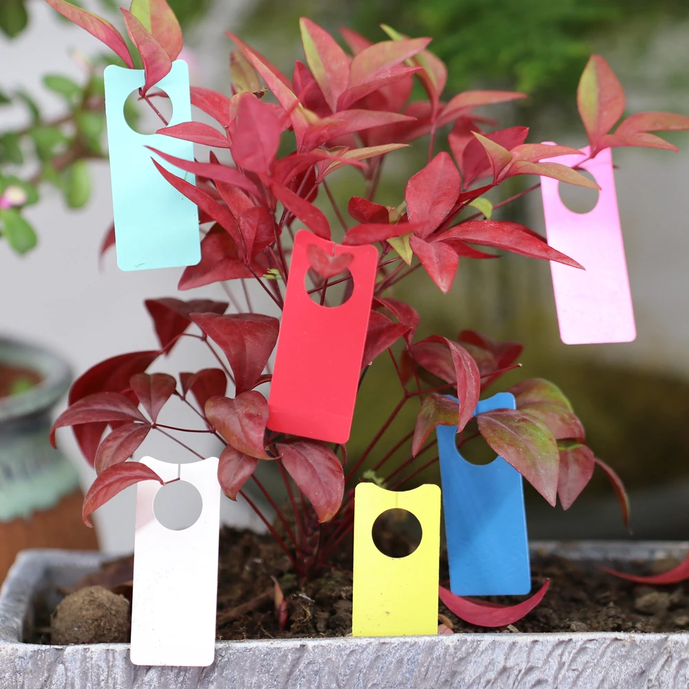 Etiquetas de plástico resistentes al agua para plantas, marcadores de árboles frutales, estacas colgantes para vivero de flores, tipo T, 25-100