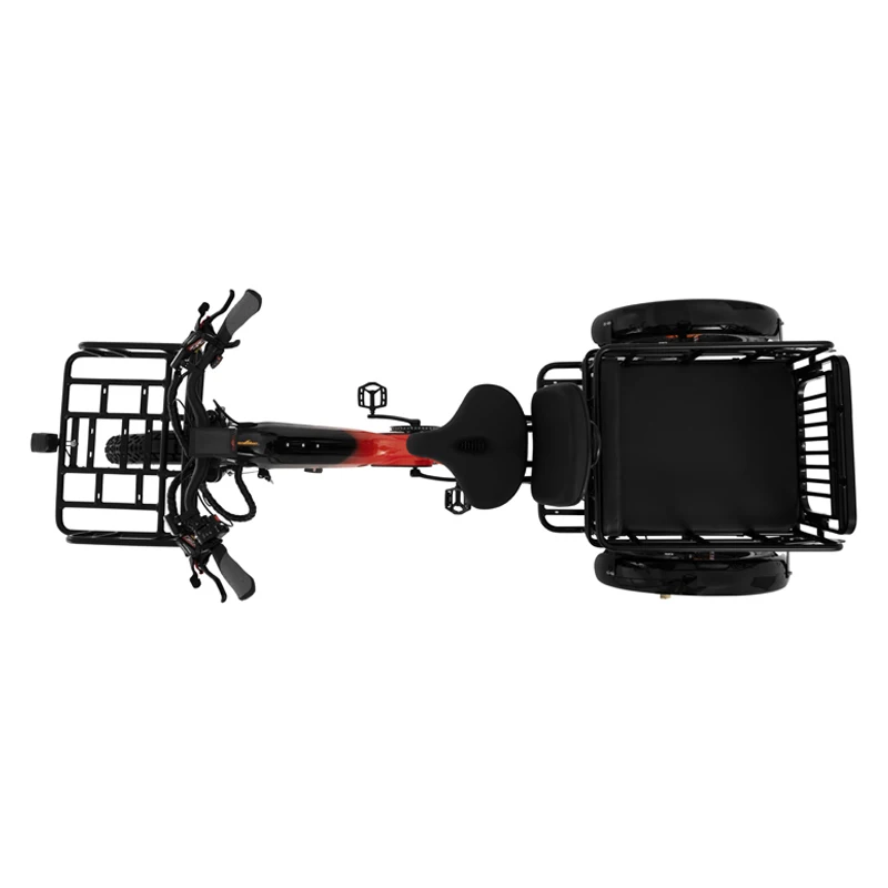2500W Dual Motor Heavy Duty Electric Tricycle Polar Bear