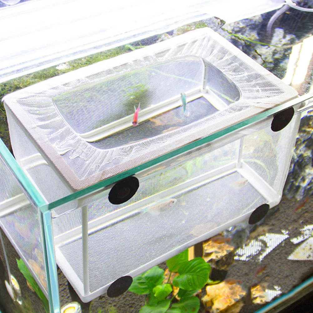 

Aquarium Isolation Box Fish Net Breeder Hatchery Tank for Betta Holder Separating Aggressive Weak Fish Increasing
