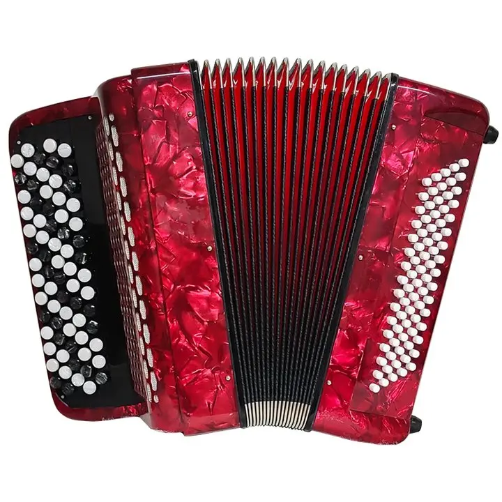 Professional 69 Keys 96 Bass Button Accordion Musical Instrument Piano  Diatonic Accordion For Adult